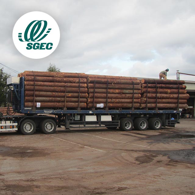 SGEC森林認証木材販売