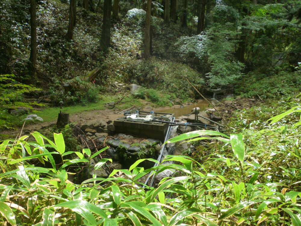 森の中の水源地